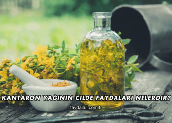 Kantaron Yağının Cilde Faydaları Nelerdir?