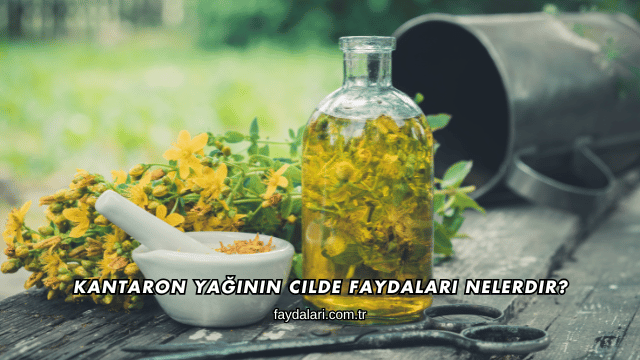 Kantaron Yağının Cilde Faydaları Nelerdir?