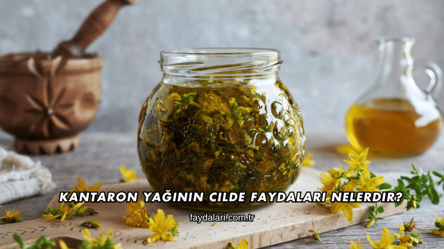 Kantaron Yağının Cilde Faydaları Nelerdir?