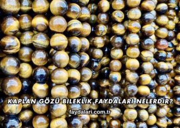 Kaplan Gözü Bileklik Faydaları Nelerdir?