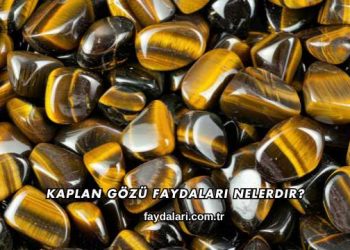 Kaplan Gözü Faydaları Nelerdir?