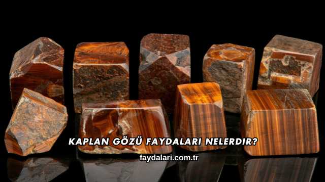 Kaplan Gözü Faydaları Nelerdir?