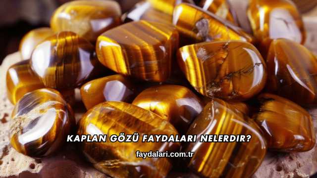 Kaplan Gözü Faydaları Nelerdir?