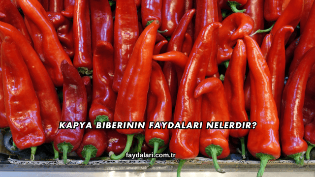 Kapya Biberinin Faydaları Nelerdir?