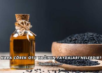 Kara Çörek Otu Yağının Faydaları Nelerdir?