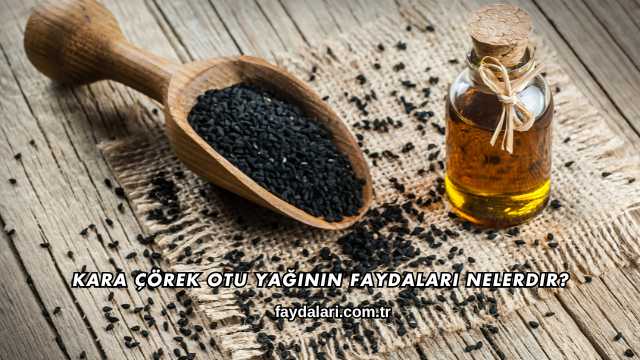 Kara Çörek Otu Yağının Faydaları Nelerdir?