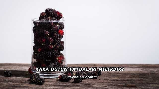 Kara Dutun Faydaları Nelerdir