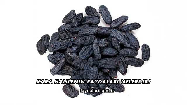 Kara Halilenin Faydaları Nelerdir?