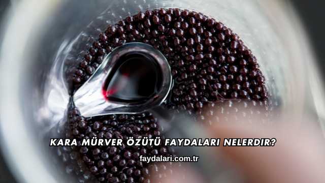 Kara Mürver Özütü Faydaları Nelerdir?