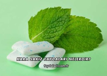 Kara Sakız Faydaları Nelerdir?