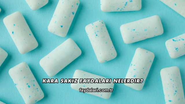 Kara Sakız Faydaları Nelerdir?