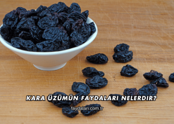 Kara Üzümün Faydaları Nelerdir?