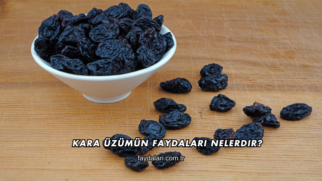 Kara Üzümün Faydaları Nelerdir?