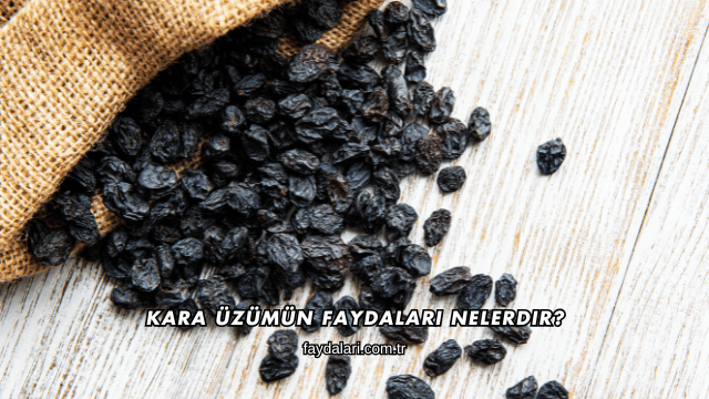 Kara Üzümün Faydaları Nelerdir?