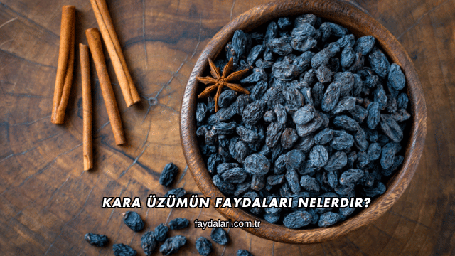 Kara Üzümün Faydaları Nelerdir?