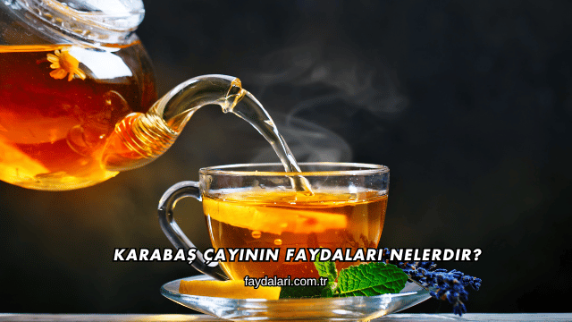 Karabaş Çayının Faydaları Nelerdir?