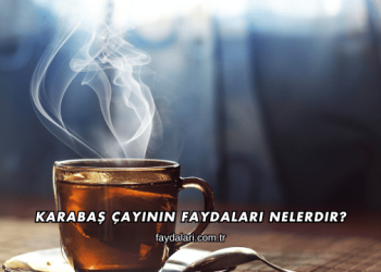 Karabaş Çayının Faydaları Nelerdir?