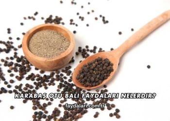 Karabaş Otu Balı Faydaları Nelerdir?