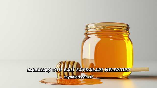 Karabaş Otu Balı Faydaları Nelerdir?