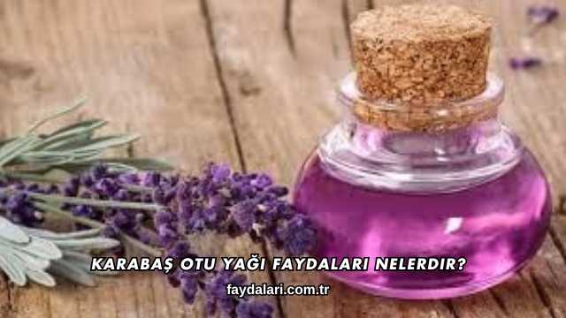 Karabaş Otu Yağı Faydaları Nelerdir?