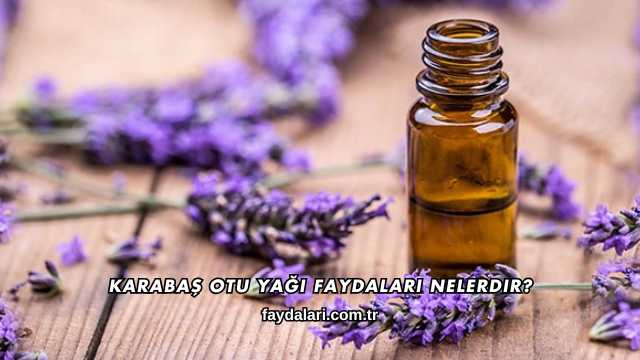 Karabaş Otu Yağı Faydaları Nelerdir?