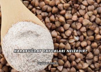 Karabuğday Faydaları Nelerdir?