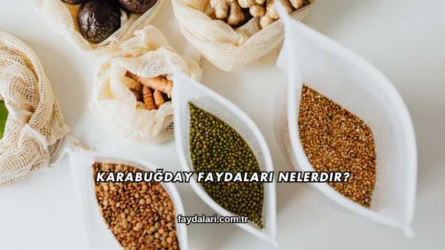 Karabuğday Faydaları Nelerdir?