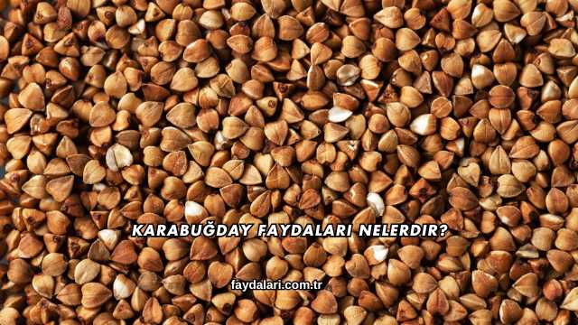 Karabuğday Faydaları Nelerdir?