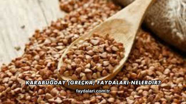 Karabuğday (Greçka) Faydaları Nelerdir?