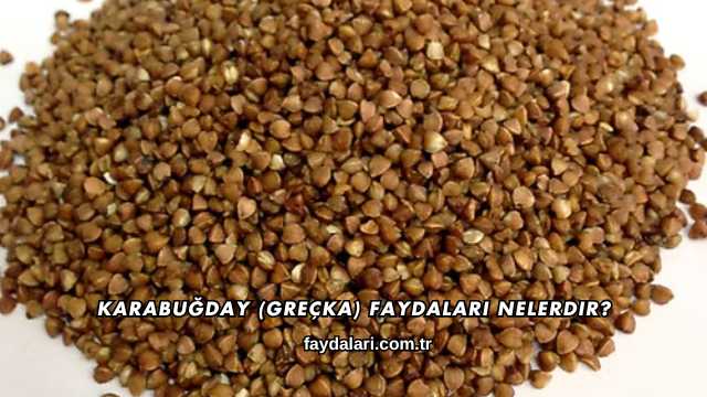 Karabuğday (Greçka) Faydaları Nelerdir?