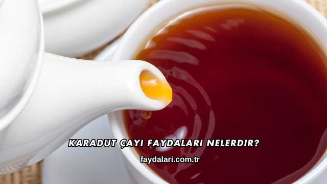Karadut Çayı Faydaları Nelerdir?