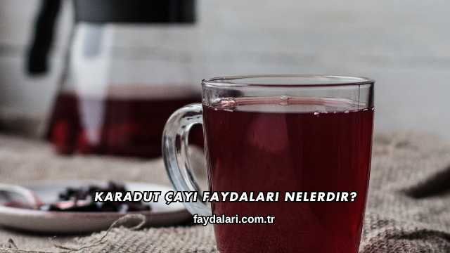 Karadut Çayı Faydaları Nelerdir?