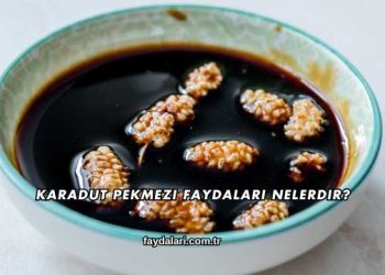 Karadut Pekmezi Faydaları Nelerdir?