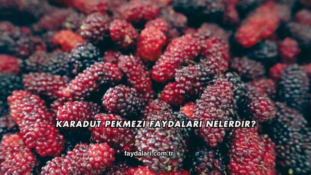 Karadut Pekmezi Faydaları Nelerdir?