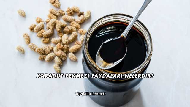 Karadut Pekmezi Faydaları Nelerdir?