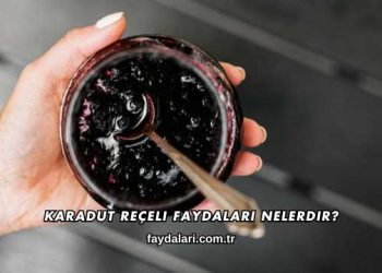 Karadut Reçeli Faydaları Nelerdir?