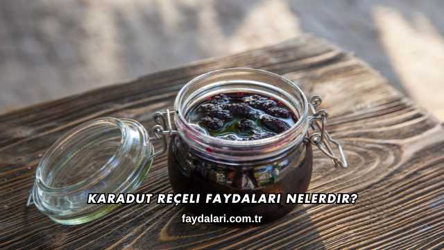 Karadut Reçeli Faydaları Nelerdir?
