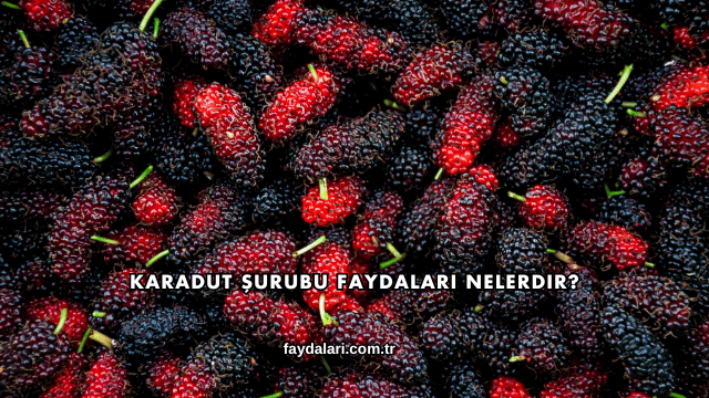Karadut Şurubu Faydaları Nelerdir?