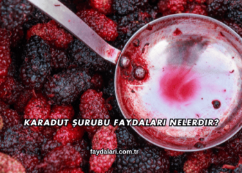 Karadut Şurubu Faydaları Nelerdir?