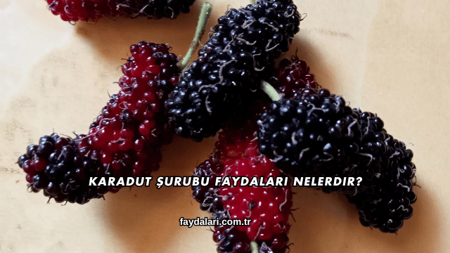 Karadut Şurubu Faydaları Nelerdir?