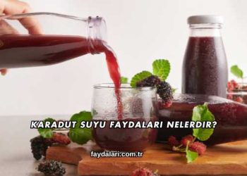 Karadut Suyu Faydaları Nelerdir?