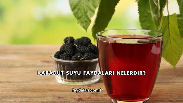 Karadut Suyu Faydaları Nelerdir?