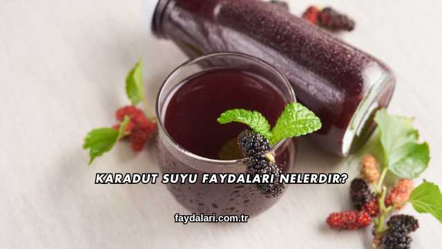 Karadut Suyu Faydaları Nelerdir?