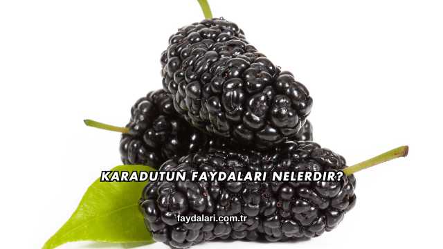 Karadutun Faydaları Nelerdir?
