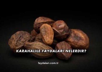 Karahalile Faydaları Nelerdir?
