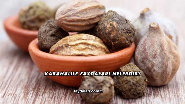 Karahalile Faydaları Nelerdir?