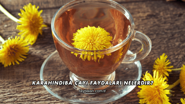 Karahindiba Çayı Faydaları Nelerdir?
