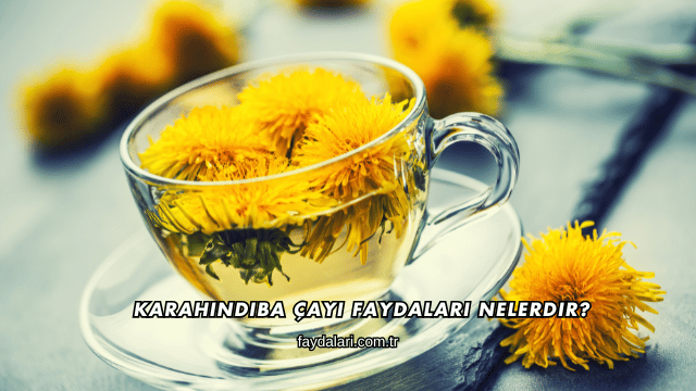Karahindiba Çayı Faydaları Nelerdir?