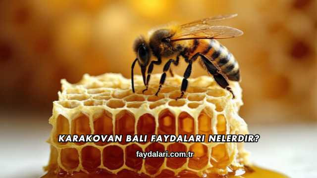 Karakovan Balı Faydaları Nelerdir?