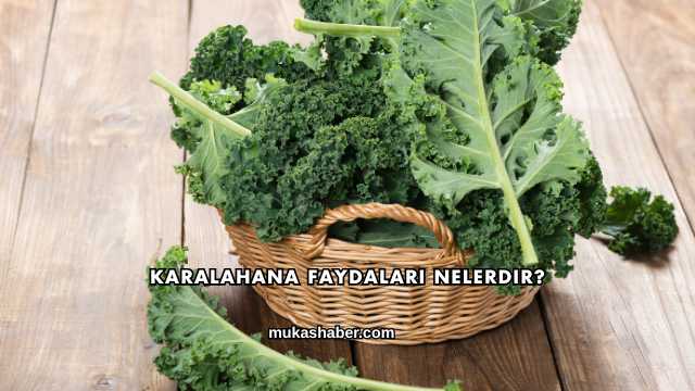 Karalahana Faydaları Nelerdir?